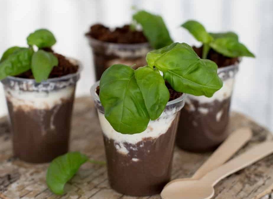 Earth Day Chocolate Pots