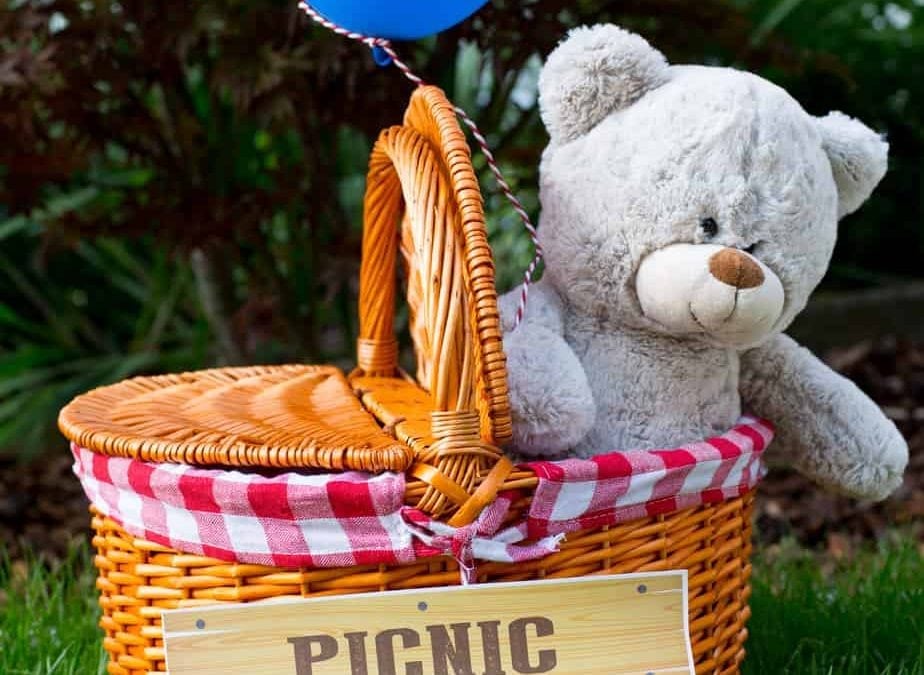 Teddy Bears Picnic