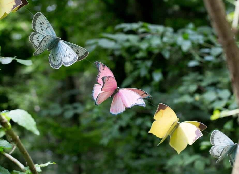 Fairies at Play