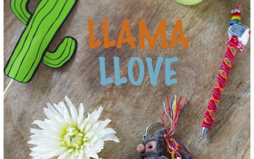 Lloving this Llama Party