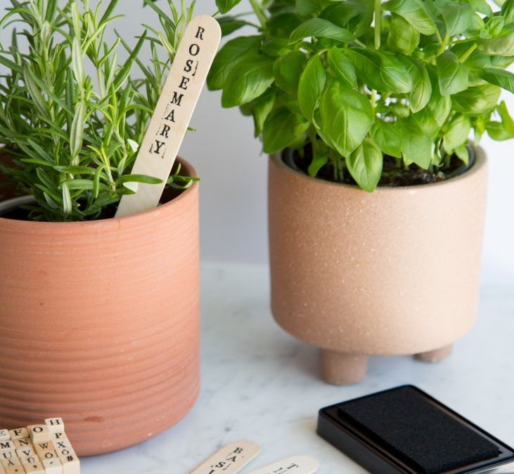 DIY Herb Markers