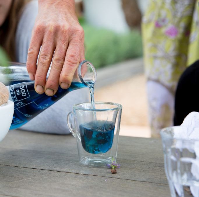 Babylonstoren Tea Ceremony