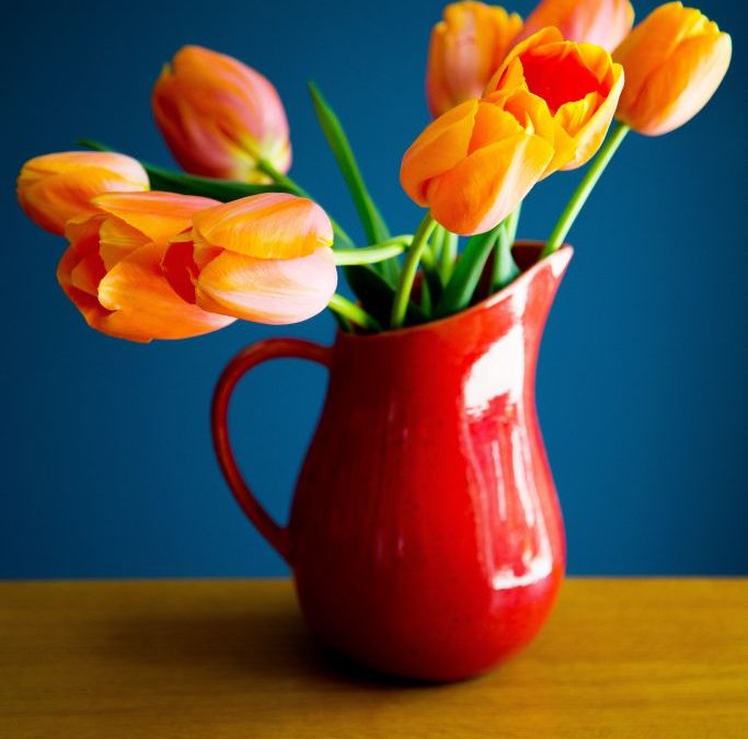 Orange Tulips