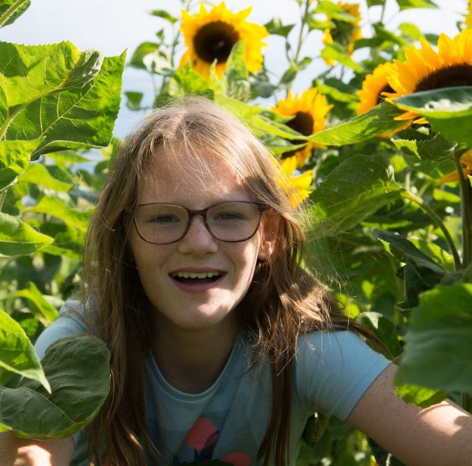 Sunflowers Graduation