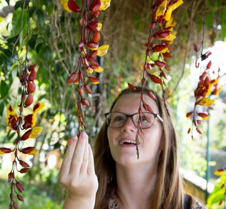 Botanical Gardens of Madeira