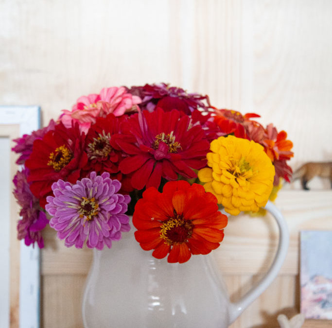 Autumn Flowers from the Field