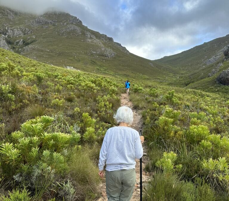 Mont Rochelle, Franschhoek