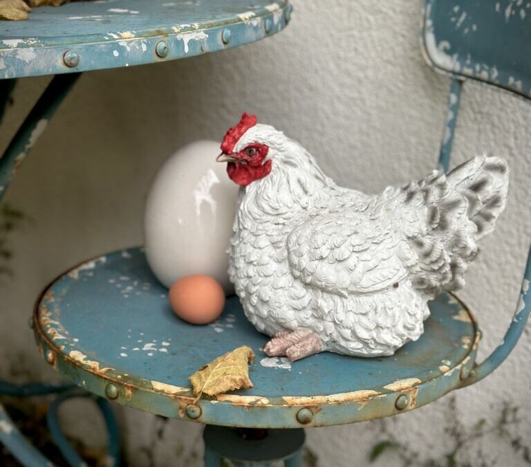 Fresh Eggs