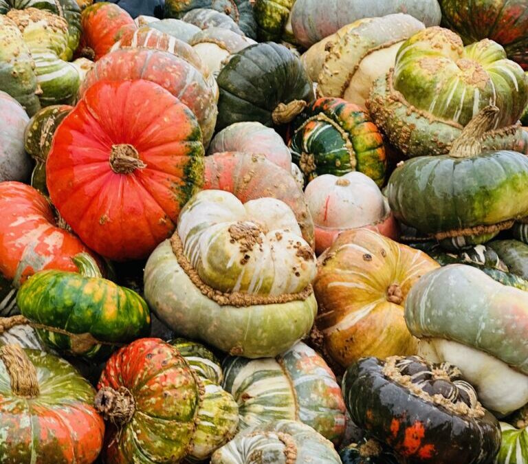 Jucker Farm