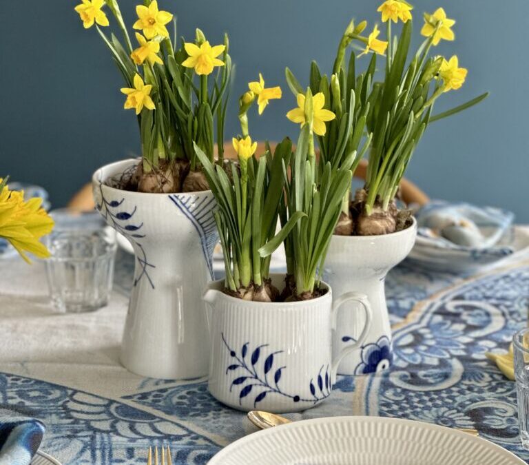 Daffodils
