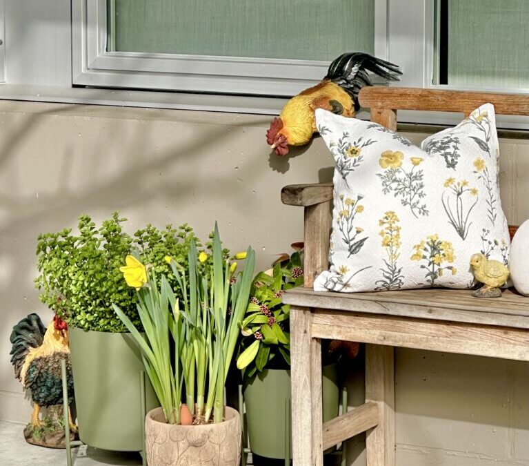 The Chicken Hill House