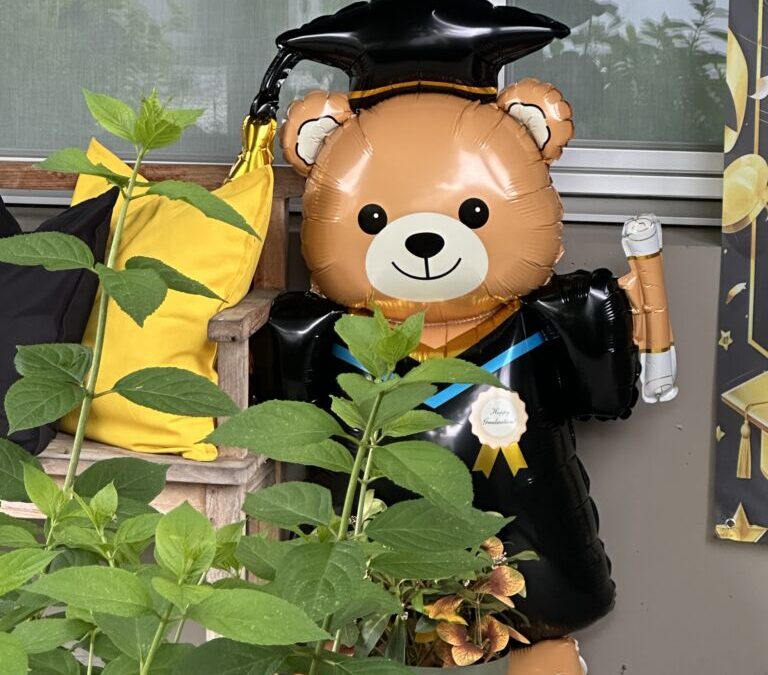 Graduation: Front Door