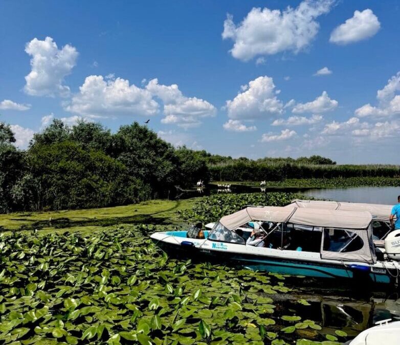 Danube Delta